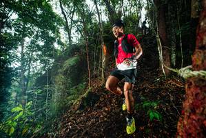 BIB: 
                            <button type="button" onclick="openModal(26197849)" class="btn btn-primary btn-sm float-right btn-popup" data-toggle="modal" data-target=".modal-high-quality">
                        <i class="fas fa-shopping-cart"></i> Add to Cart
                    </button>
                                            <button type="button" onclick="isThisMe(26197849, true)" class="btn btn-success btn-sm float-right btn-popup btn-isme hidden" data-toggle="tooltip" data-placement="bottom" title="นี่คือรูปของคุณใช่ไหม คลิกที่นี่เพื่อเอาเข้าอัลบั้ม">
                        <i class="fas fa-plus"></i> Add to album
                    </button>
                    <button type="button" onclick="isThisMe(26197849, false)" class="btn btn-warning btn-sm float-right btn-popup btn-isnotme hidden">
                        <i class="fas fa-ban"></i> Remove from album
                    </button>